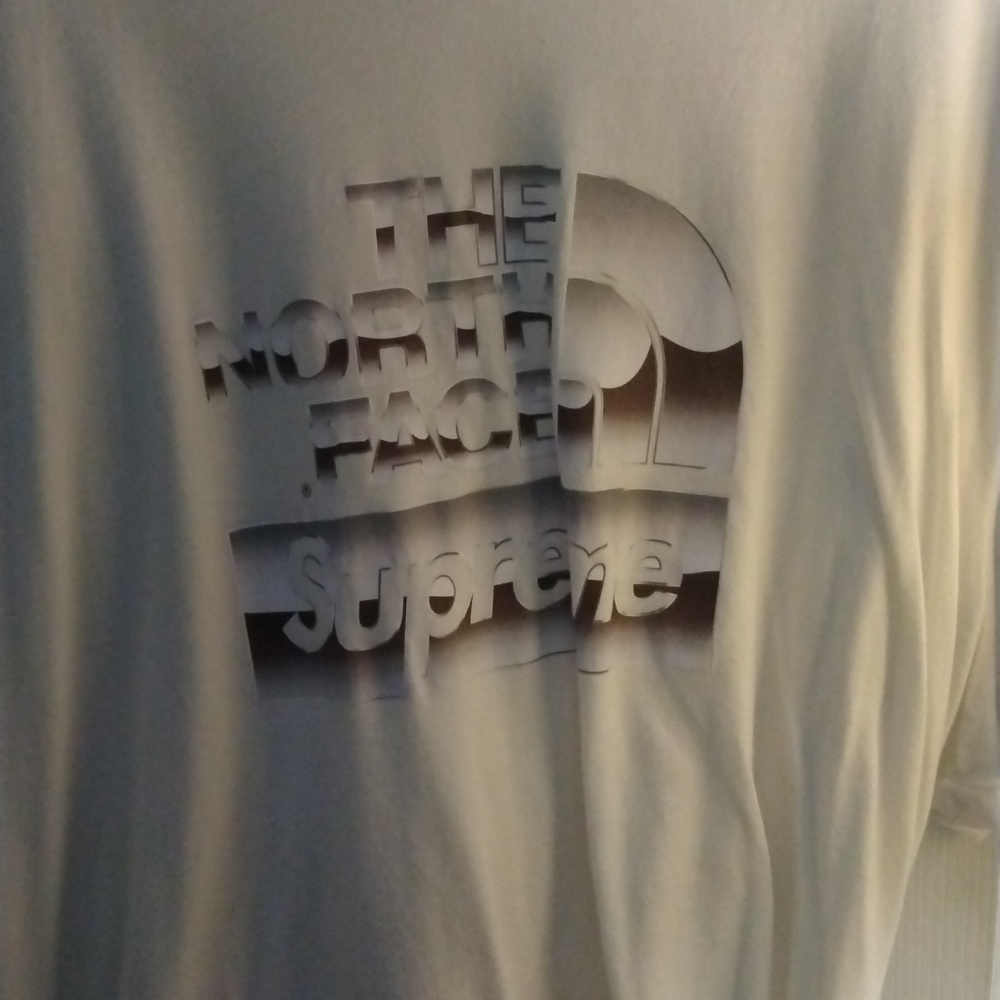 Supreme North Face